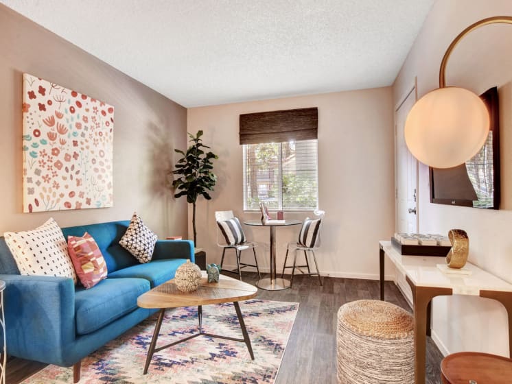 1 Bedroom Apartment